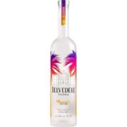 Belvedere Summer LE 0,7l 40%